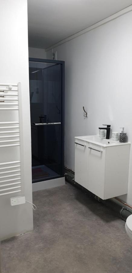 Vendegies-sur-Ecaillon Studio, Chambres, Appartement, Gite المظهر الخارجي الصورة